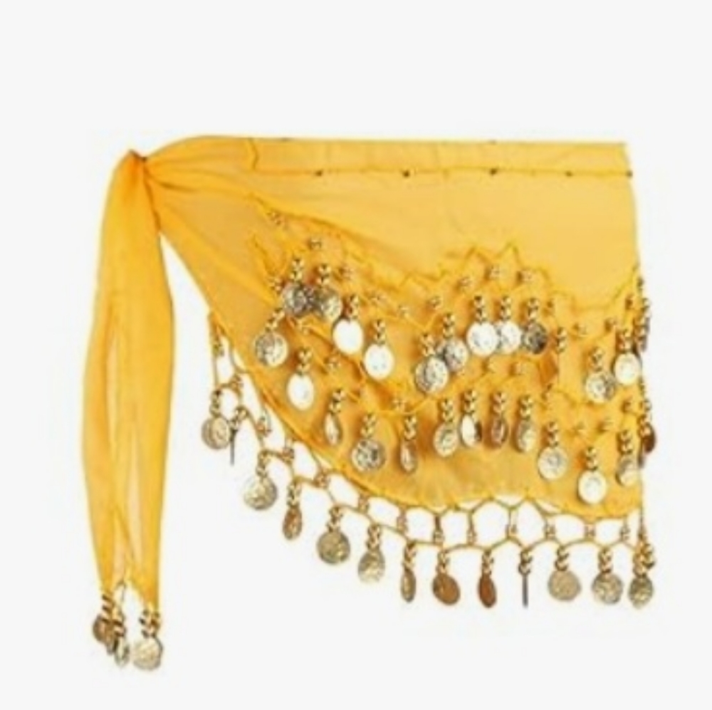 Belly Dance Skirt